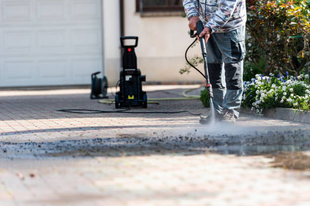 Best Window Cleaning in Rockwood, TN